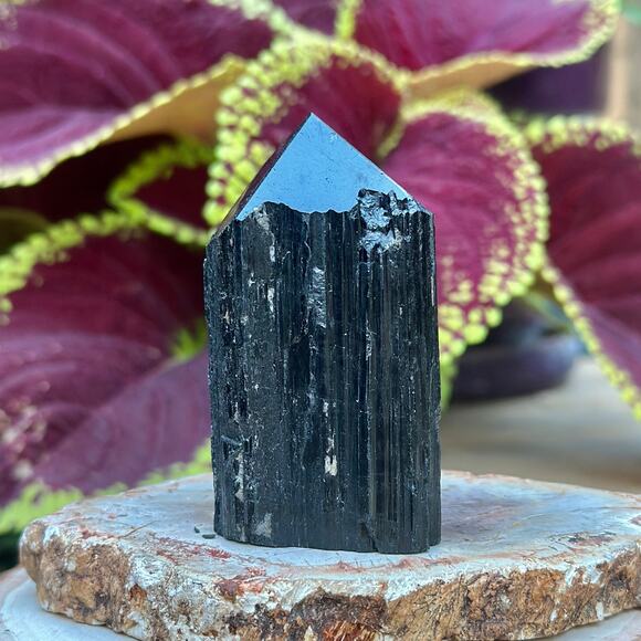Black Tourmaline Polished Point w Rough Flat Base: 156g - Selection: E - Picture 5 of 8